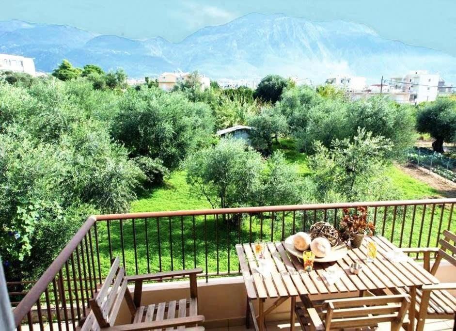 Amalia'S Serendipity - City Lights & Mountain Vistas كالاماتا المظهر الخارجي الصورة